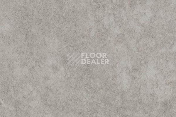 Линолеум Forbo Eternal Material 10032 fossil stucco фото 1 | FLOORDEALER